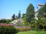 Il giardino in primavera