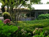 the garden and the pavilion